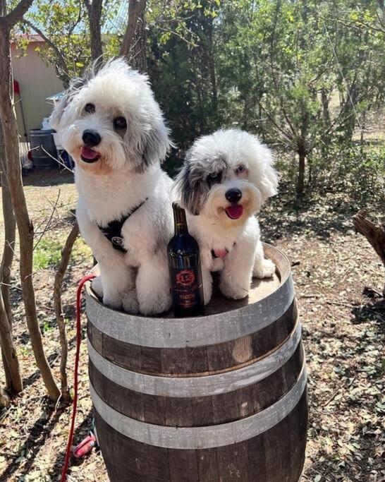 约翰逊城 12 Fires Luxury Glamping With Heating #3酒店 外观 照片